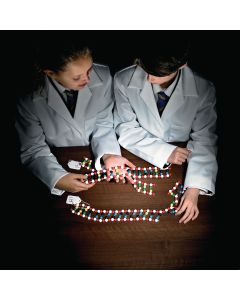 DNA Murder Mystery Kit