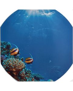 Sealife Play Tray Mat 