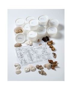 Class Fossil Pack