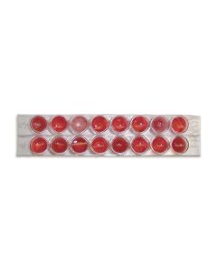 Blood Typing ABO Kit