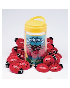 Ladybugs