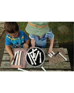 Dino Bones Match and Measure - Pack of 16