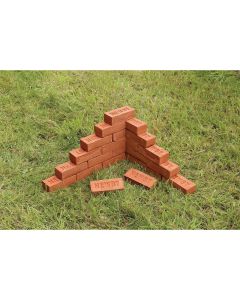 Real Mini Bricks - Pack of 25