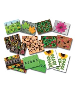 Ladybugs Early Number Cards