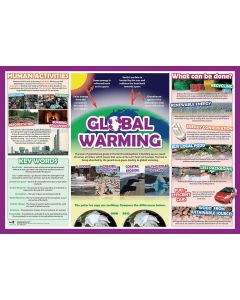 Global Warming Poster
