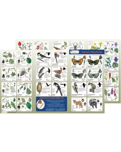 Habitat Woodland Identification Guide - Woodland Pack