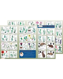 Grassland Identification Guide Pack