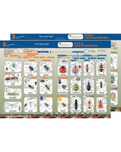 Land Invertebrates Identification Guide Pack