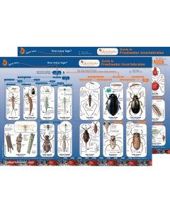 Freshwater Invertebrates Guide Pack