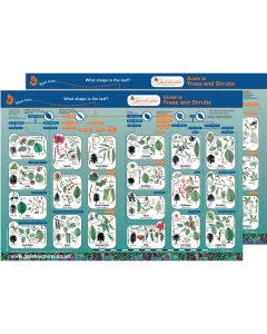 Trees and Shrubs Identification Guide Pack