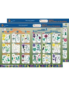 Flowers of Grassland Guide Pack