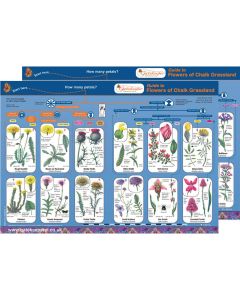 Flowers of Chalk Grassland Guide Pack