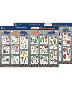 Dispersal of Fruits and Seeds Guide Pack