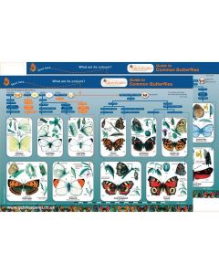 Common Butterflies Identification Guide Pack