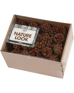 Pine Cones - 500g