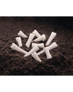 Yellow Door Dinosaur Bones Discovery Set