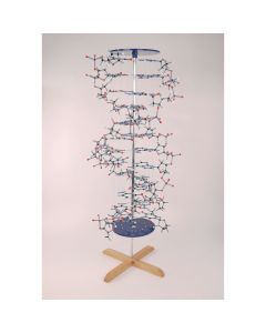 Orbit Proview DNA Model Kit