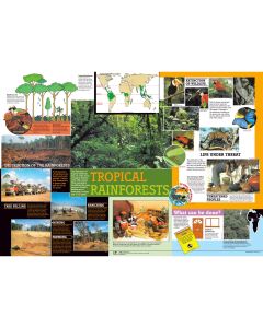 Tropical Rainforest Poster