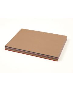 Coloured Paper - A2 100gsm - Assorted - Pack of 250