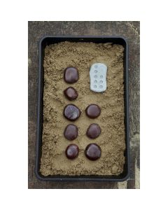 Tactile Counting Stones
