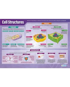 Cell Structures Poster