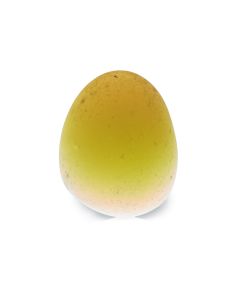 Sunset Egg