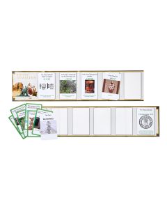 Mayan Interactive Timeline