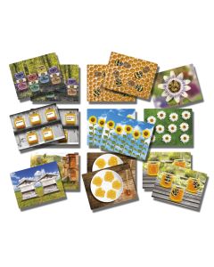 Honey Bee Number Cards