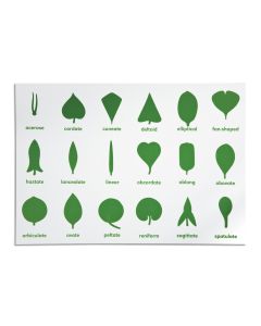 Nienhuis Montessori - Botany Cabinet Control Chart