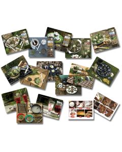 Mud Kitchen Activity Cards - Pack of 16