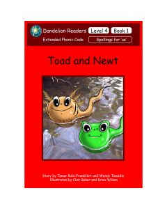 Dandelion Readers - Vowel Digraphs Book Pack Level 4 - Pack of 14