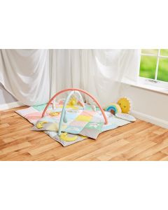 Rainbow Baby Gym 