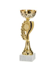 Gold Trophy - 244mm