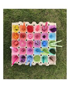 Egg Trays - Pack of 20