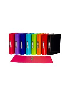 Pukka Ringbinder Files Assorted - Pack of 10