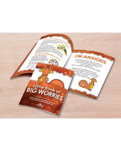 The Little Book of Big Worries