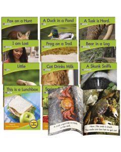 Decodable Readers Book Pack Phase 4 Non-Fiction