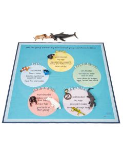 Habitats Classification Mat