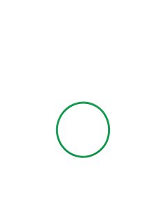 Hula Hoop - 460mm  - Green