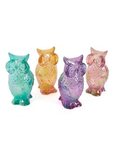 Iridescent Owls  Education-Pk 4