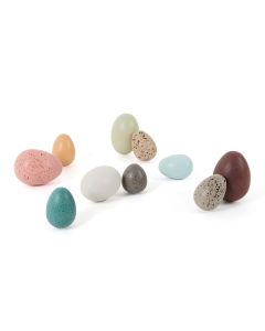 Wooden Eggs Assorted from Hope Education - Pack of 10