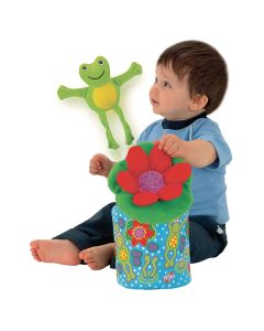 GALT Frog-in-a-Box