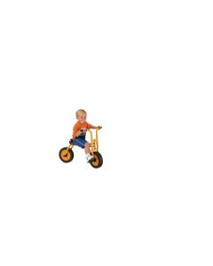 RABO Large Bike