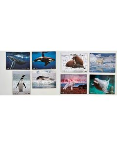 Just Jigsaws Polar Regions Animals - Pack of 8