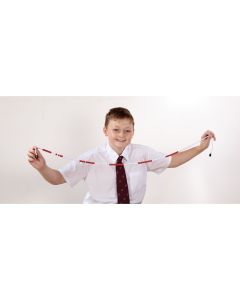 100 Bead Strings - Pupil