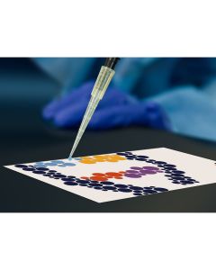 Pipetting by Numbers STEAM Pipetting Practice