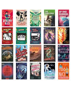 Dyslexia Friendly Books for KS3-Pk 20