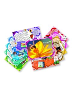Maths in Nature Activity Cards