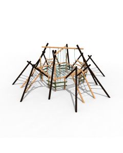 Tangled – Cobweb