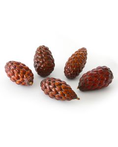 Thika Pods - Pack of 5